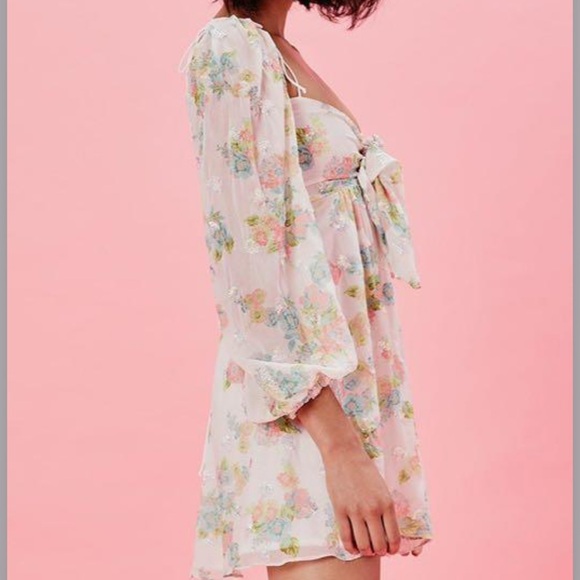 NWT FOR LOVE AND LEMONS Georgina Swing Dress - Picture 5 of 11